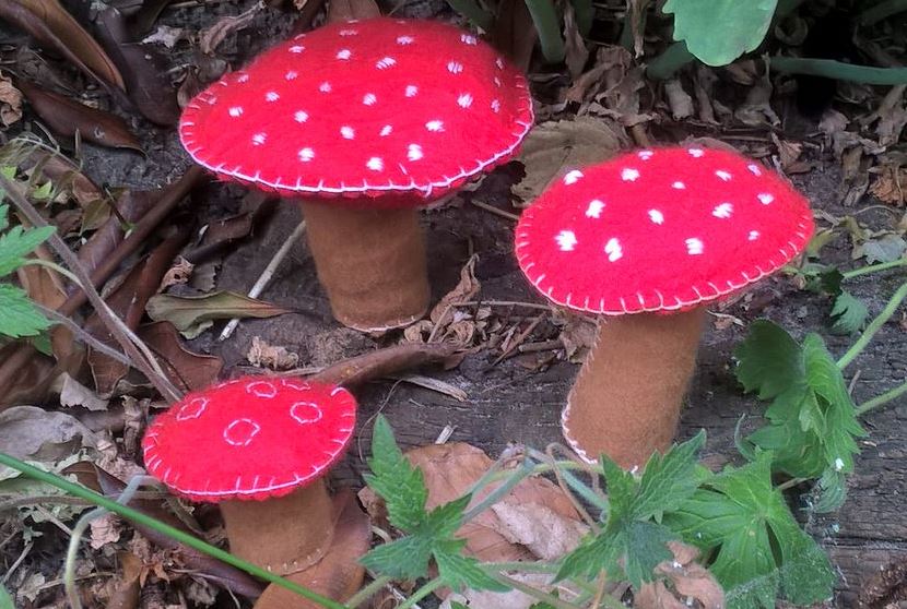 Herfstpaddenstoelen van vilt